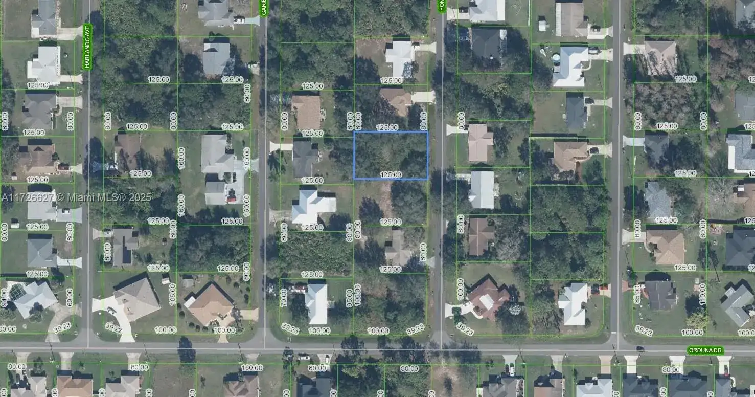 3917 Fonseca Avenue, Sebring FL 33872 photo 2