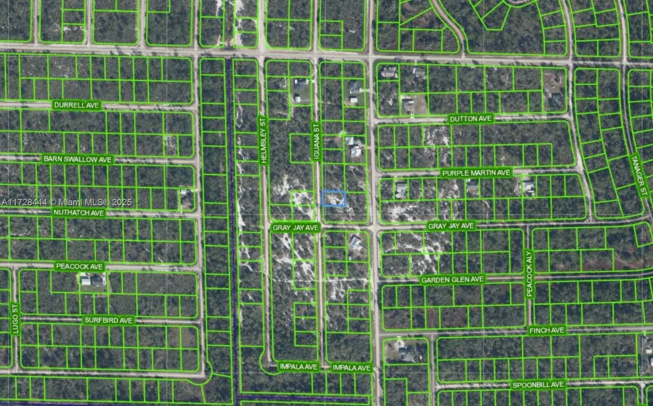 1045 Iguana, Other City - In The State Of Florida FL 33852