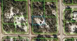 1045 Iguana, Other City - In The State Of Florida FL 33852 photo 2