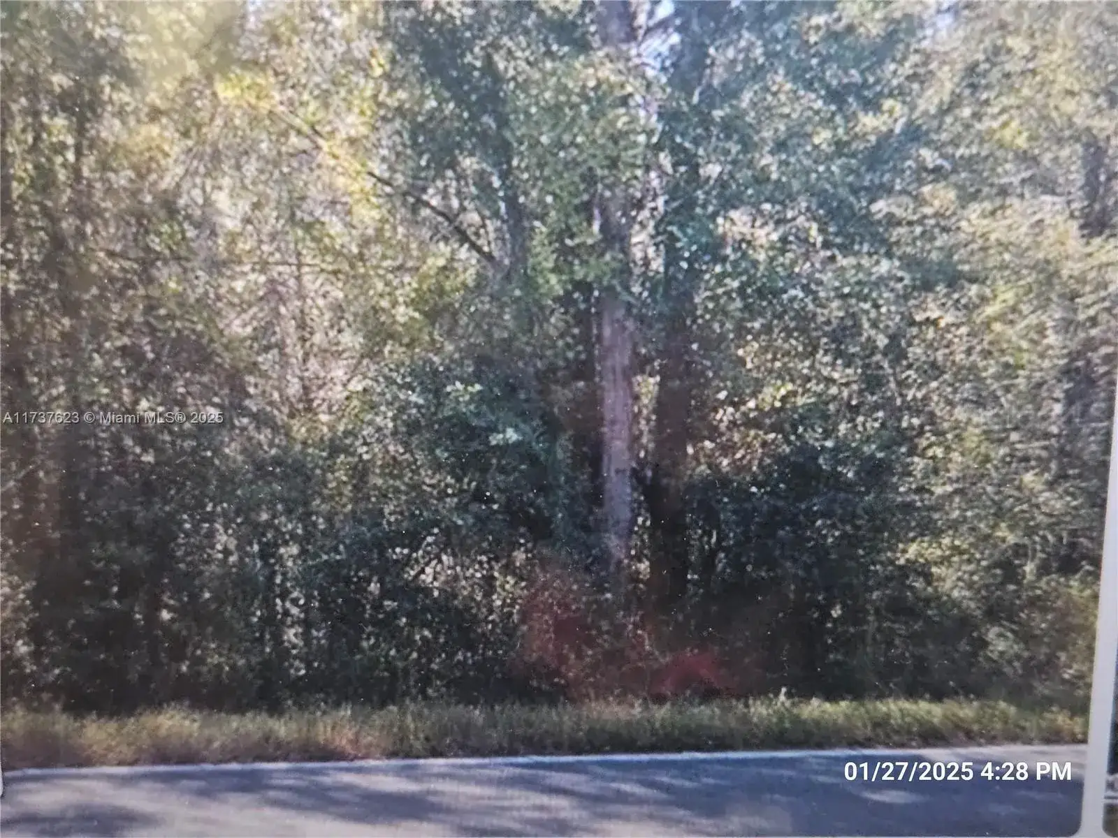 1142 County RD 20A, Other City - In The State Of Florida FL 32640