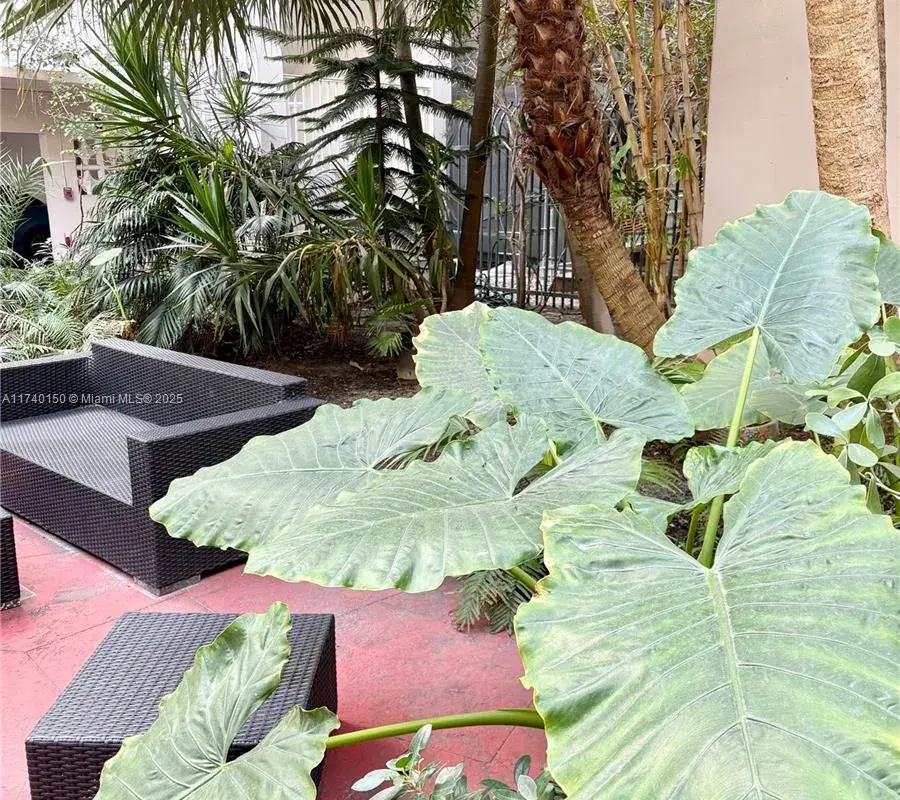 1420 Pennsylvania Ave # 205, Miami Beach FL 33139