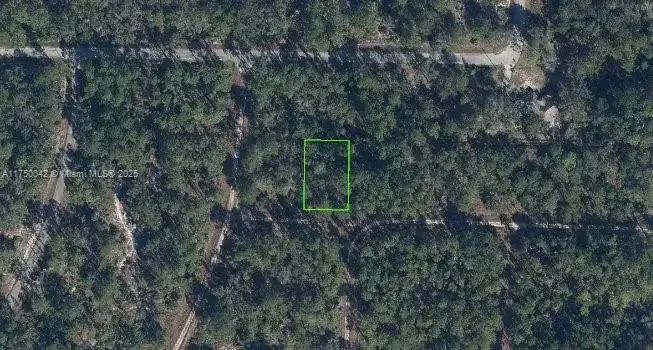 3215 Delafield, Lake Placid FL 33852