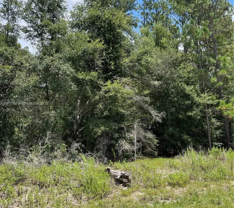 tbd SW 59th LN, Other City - In The State Of Florida FL 34431