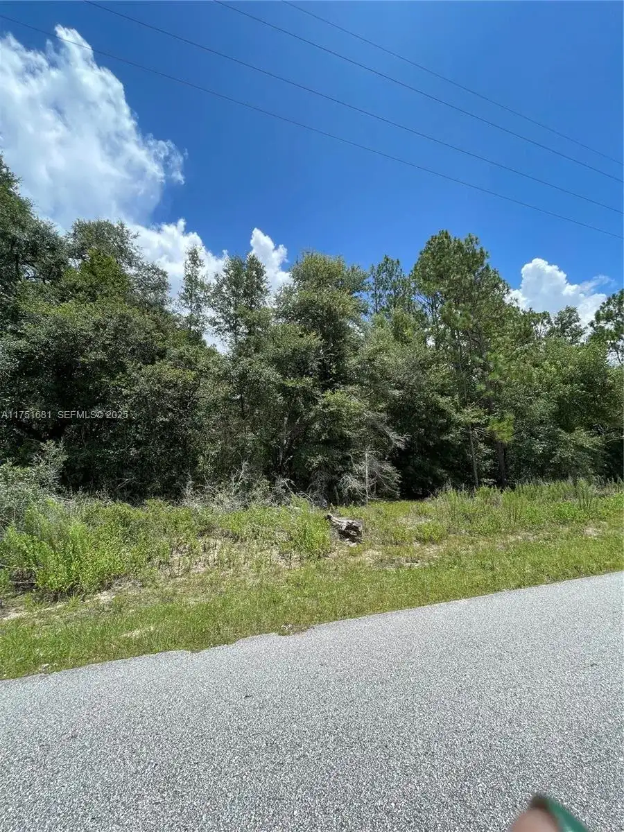 tbd SW 59th LN, Other City - In The State Of Florida FL 34431 photo 2