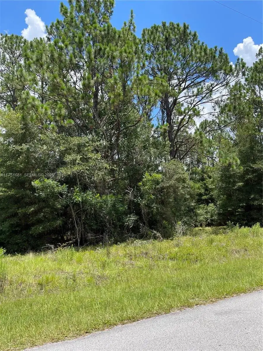 tbd SW 59th LN, Other City - In The State Of Florida FL 34431 photo 3