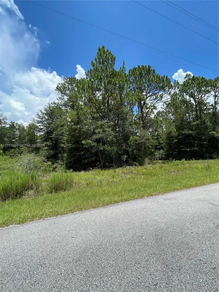 tbd SW 59th LN, Other City - In The State Of Florida FL 34431 photo 4