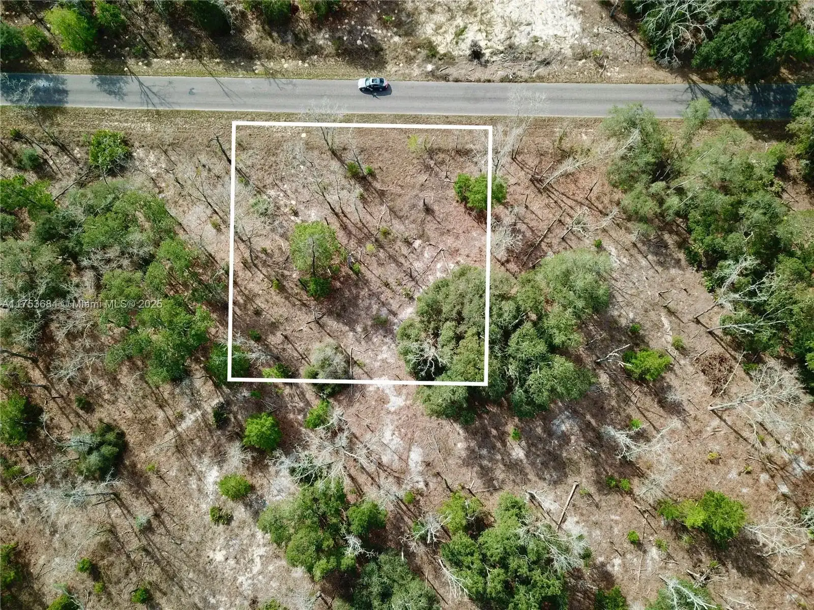 Bay Track Court, Other City - In The State Of Florida FL 32179