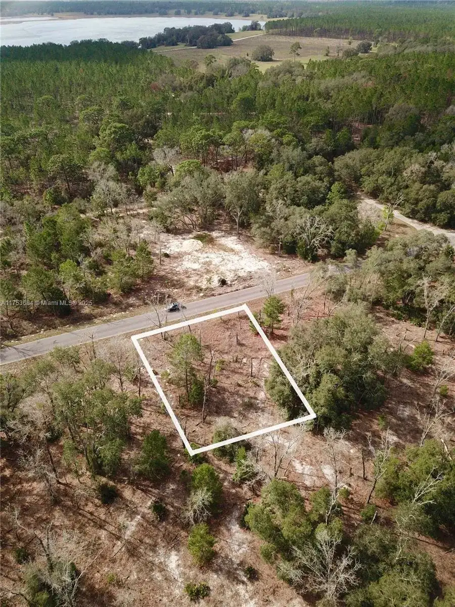 Bay Track Court, Other City - In The State Of Florida FL 32179 photo 4