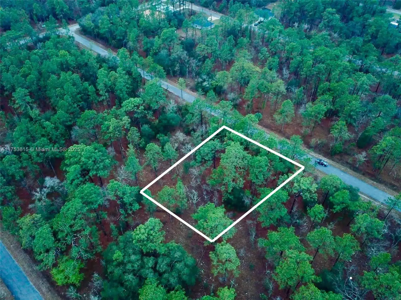 NW Narcissus Road, Other City - In The State Of Florida FL 34431 photo 2