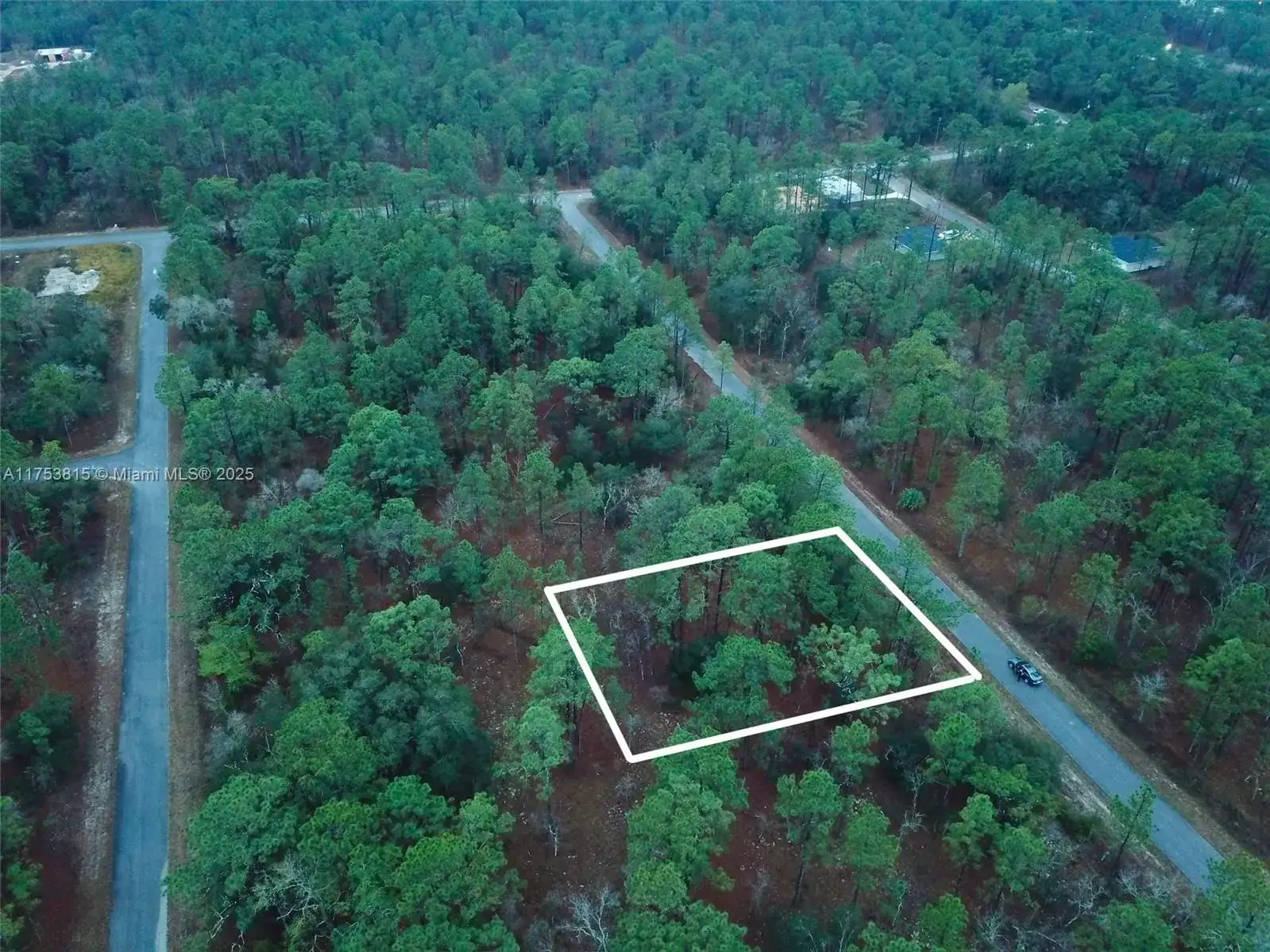 NW Narcissus Road, Other City - In The State Of Florida FL 34431 photo 3