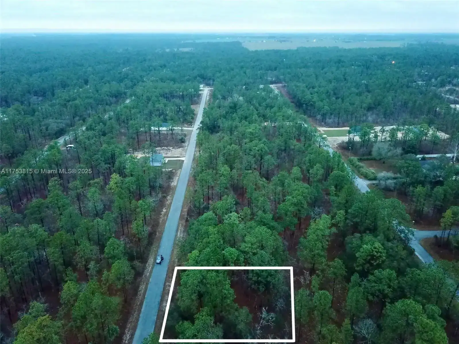 NW Narcissus Road, Other City - In The State Of Florida FL 34431 photo 4