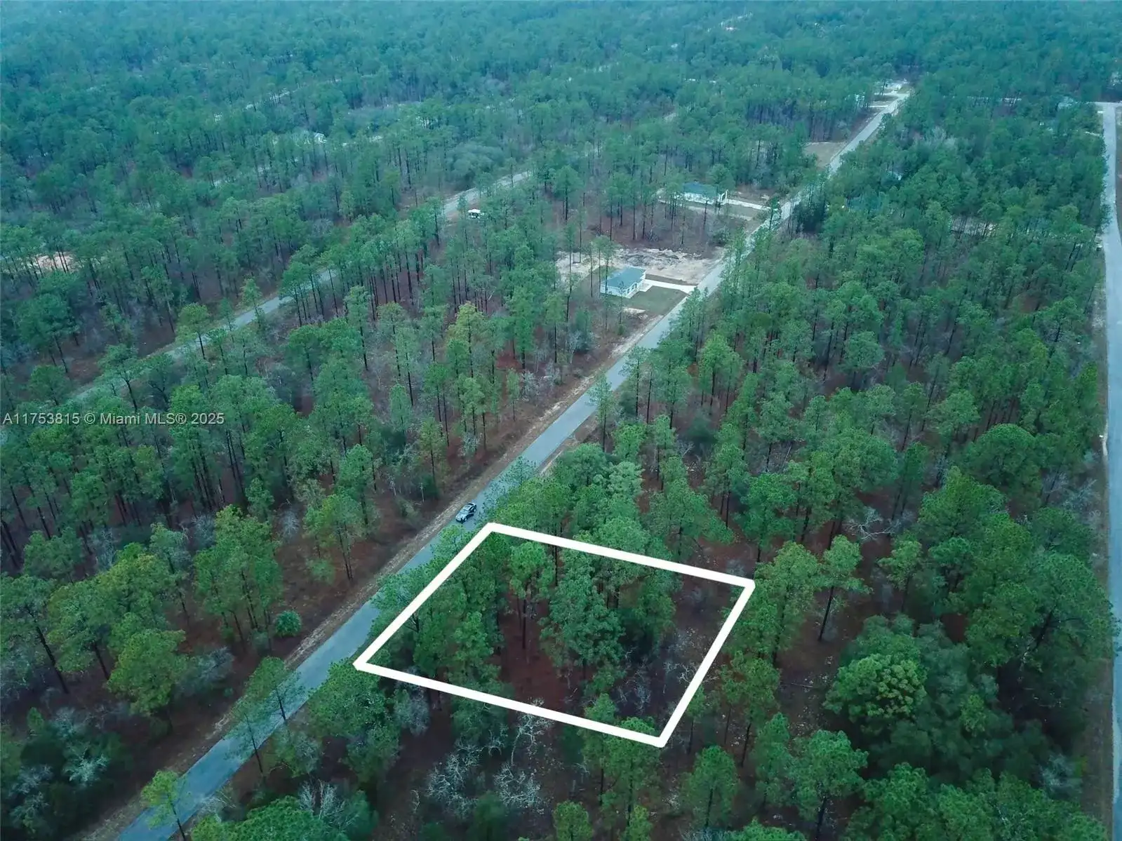 NW Narcissus Road, Other City - In The State Of Florida FL 34431 photo 5