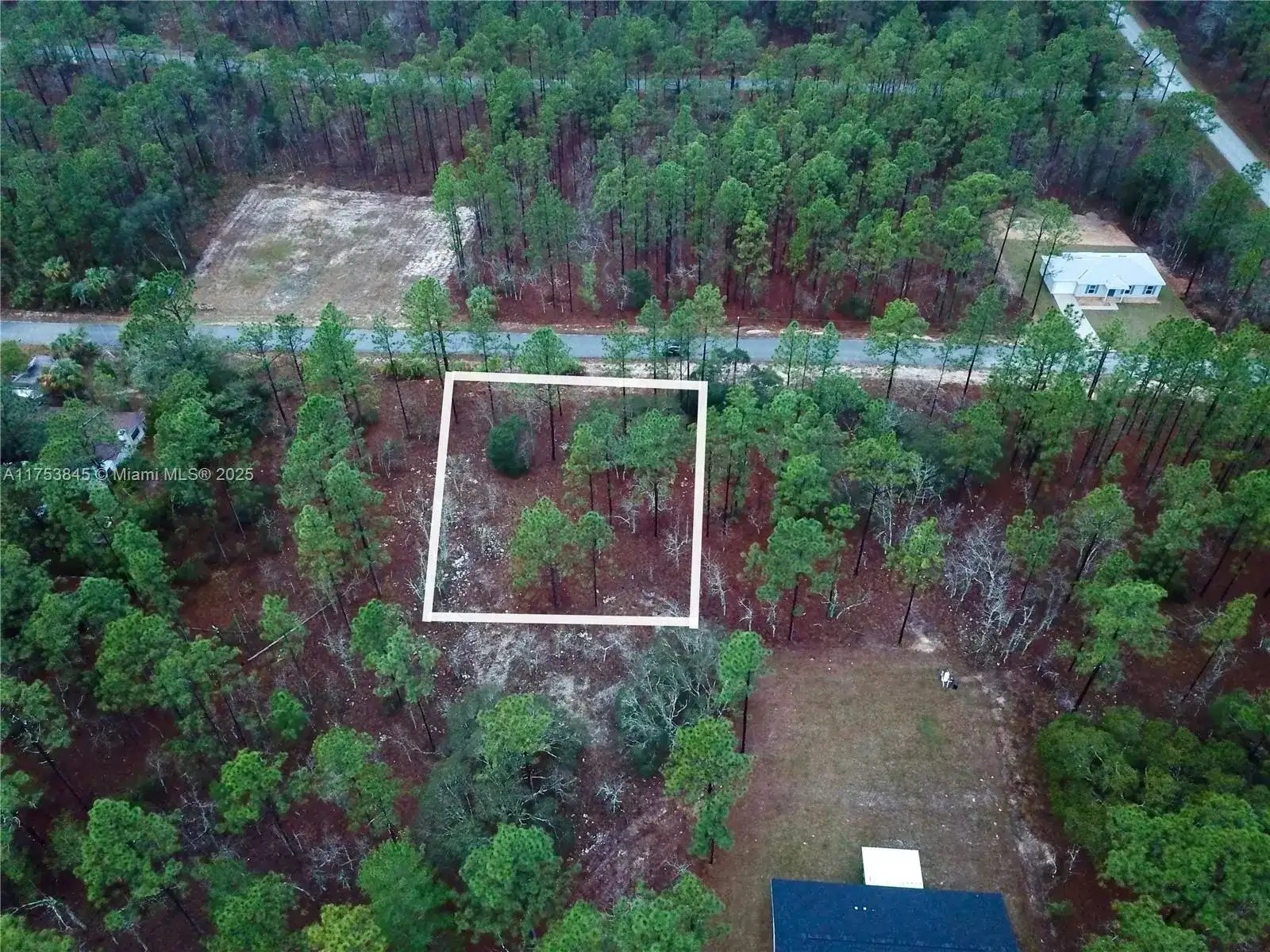 NW Narcissus Road, Other City - In The State Of Florida FL 34431 photo 4