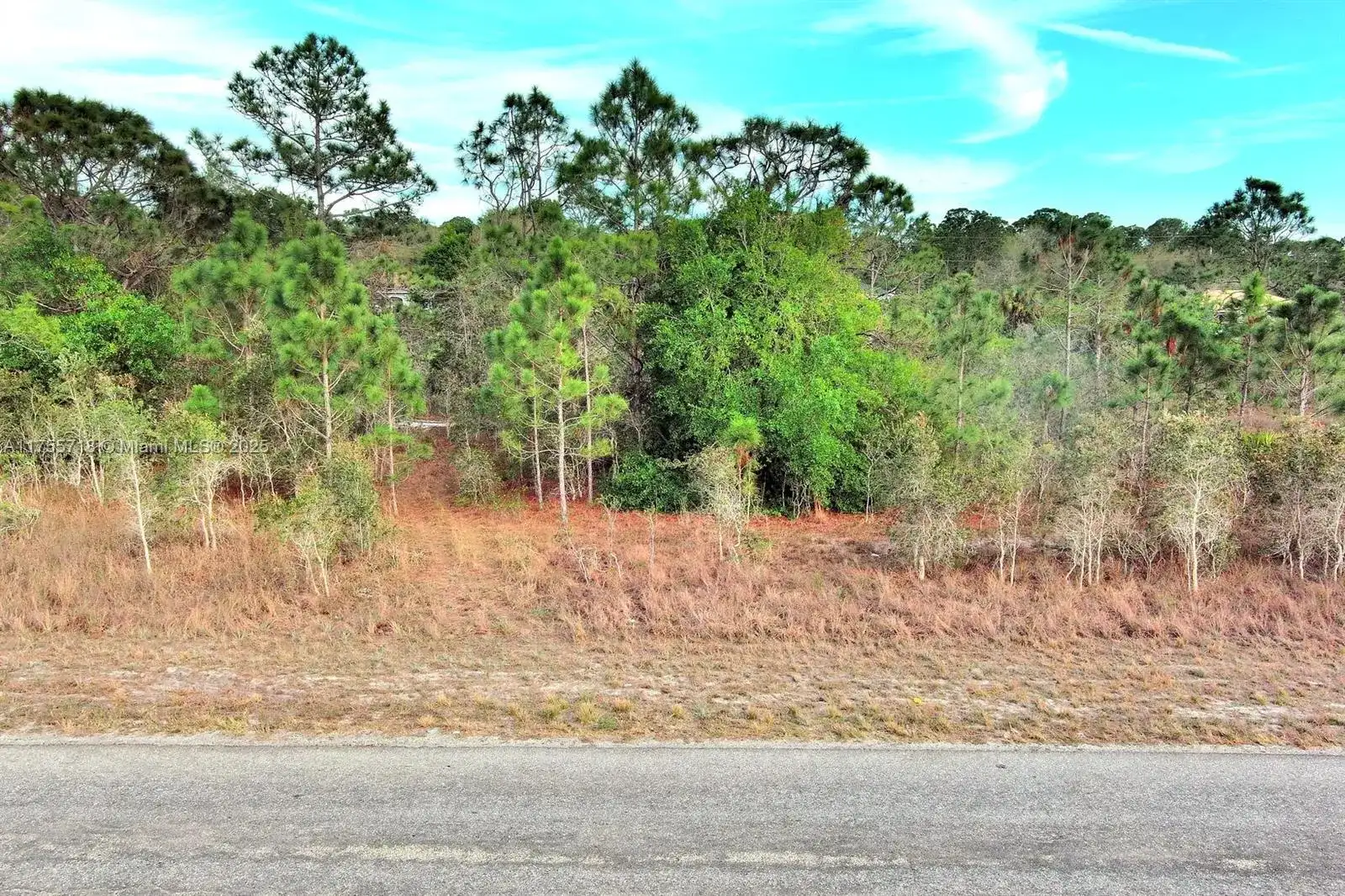 565 Summit Ave S, Lehigh Acres FL 33974 photo 4