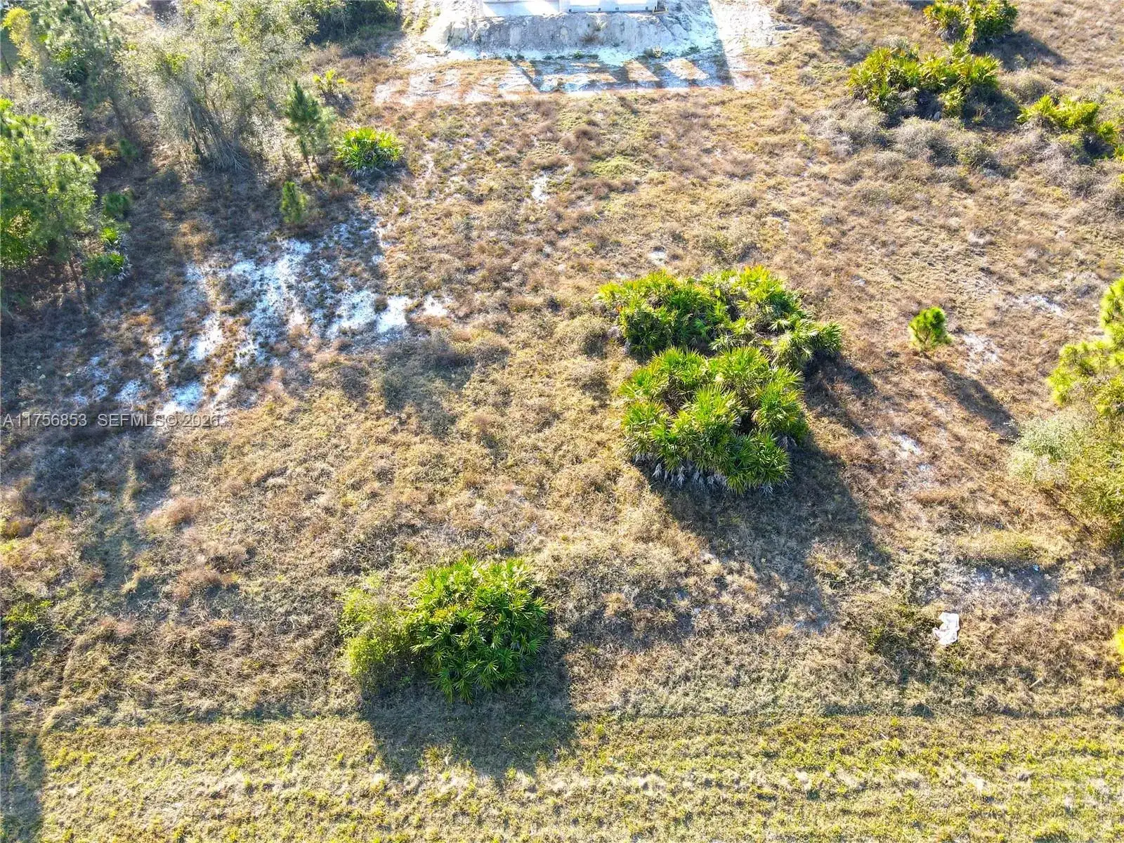 1038 BASSINGER, Other City - In The State Of Florida FL 33974 photo 4