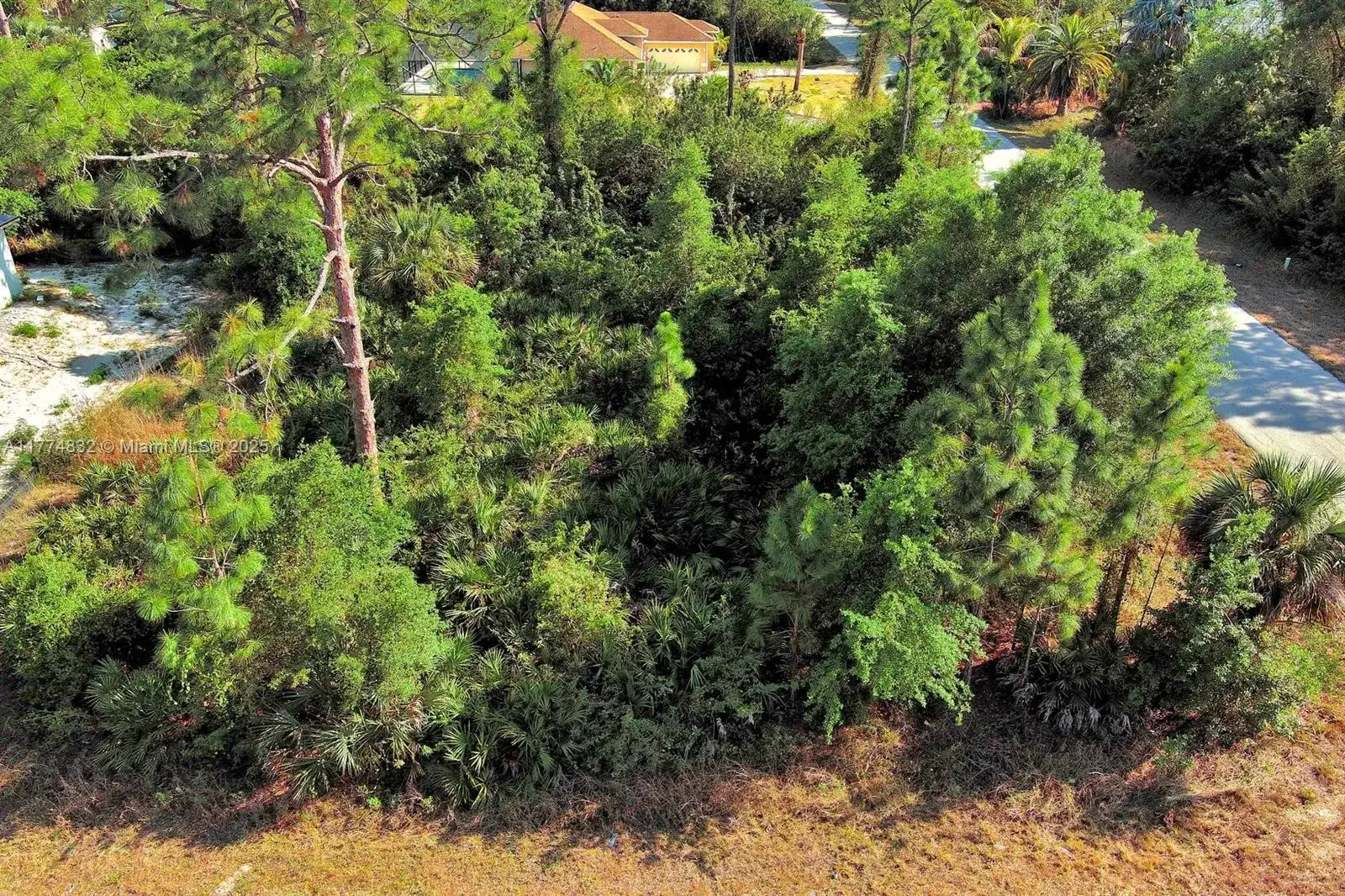 2500 E 9th St, Lehigh Acres FL 33936 photo 5