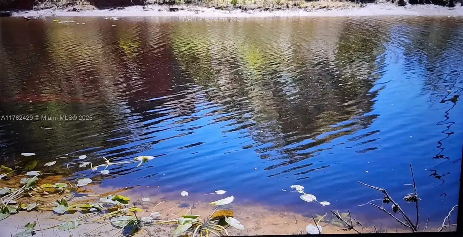 3450 se hwy 464c, Ocala FL 32179