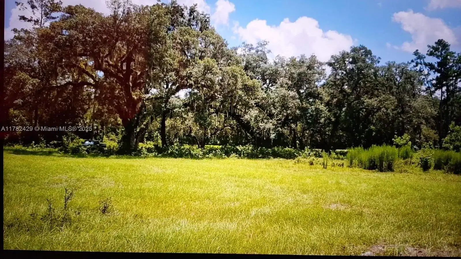 3450 se hwy 464c, Ocala FL 32179 photo 3