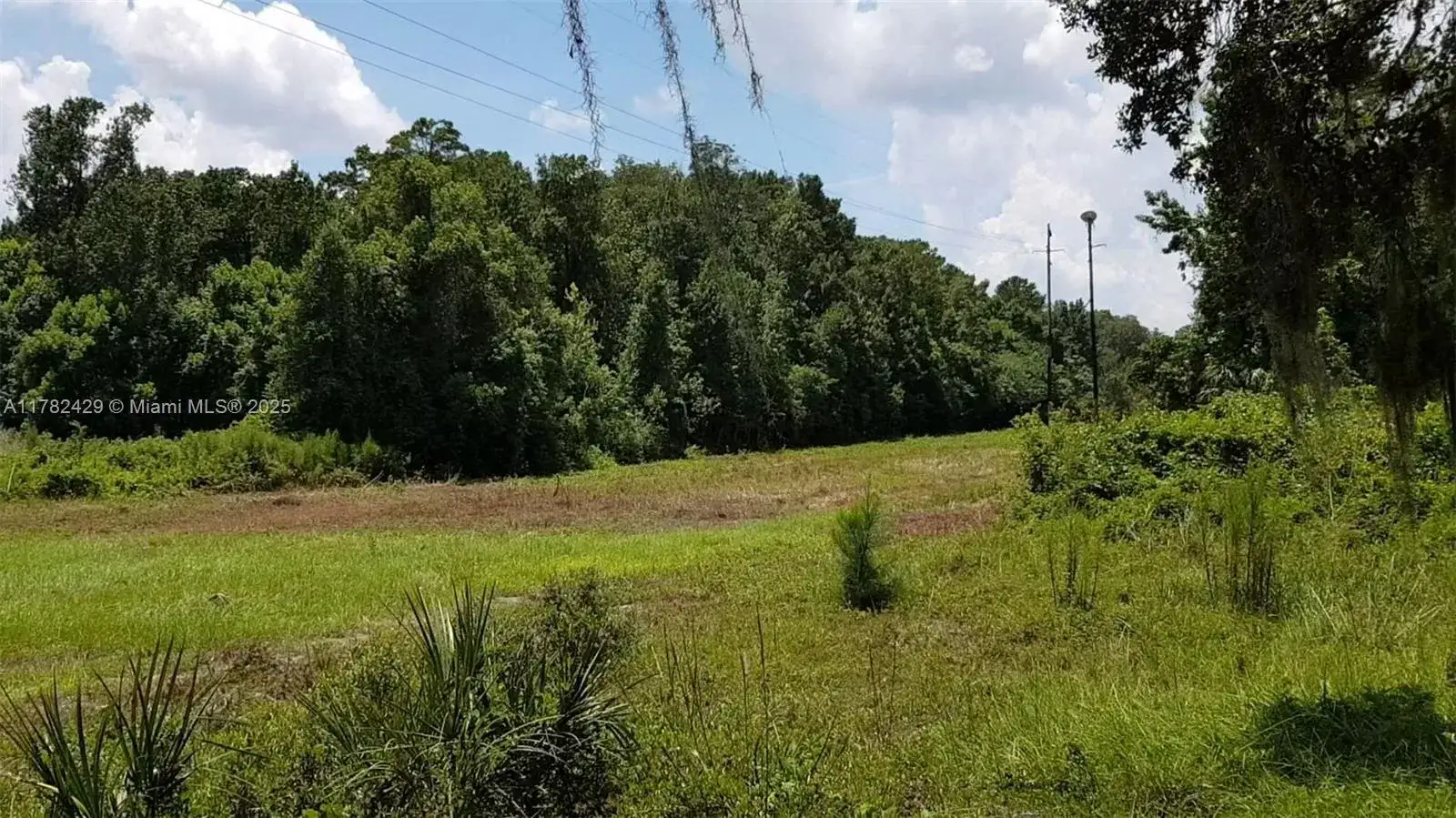 3450 se hwy 464c, Ocala FL 32179 photo 5