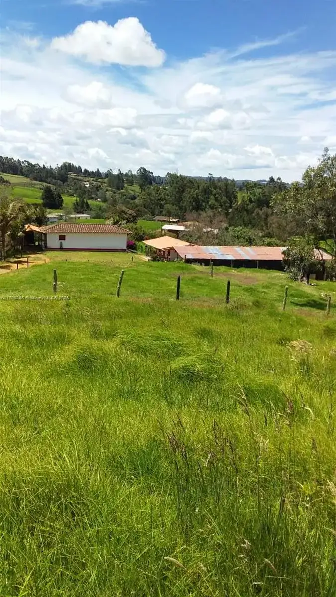 Vereda Brizuela, Other Country - Not In USA FL 054050 photo 3