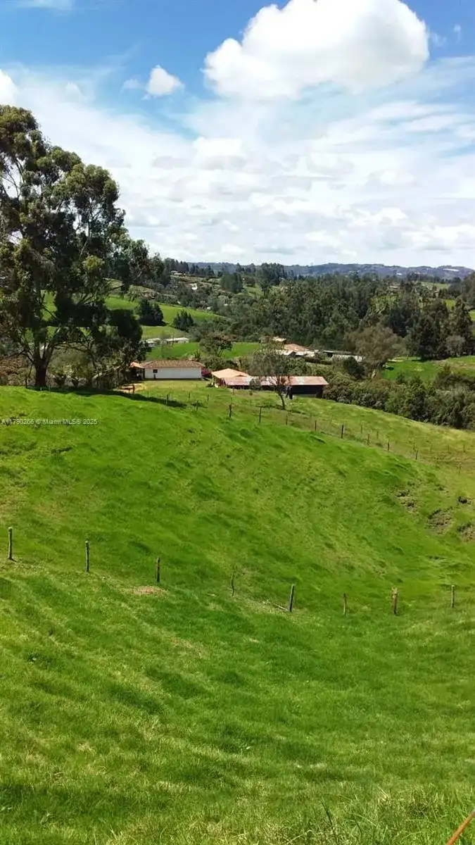 Vereda Brizuela, Other Country - Not In USA FL 054050 photo 5