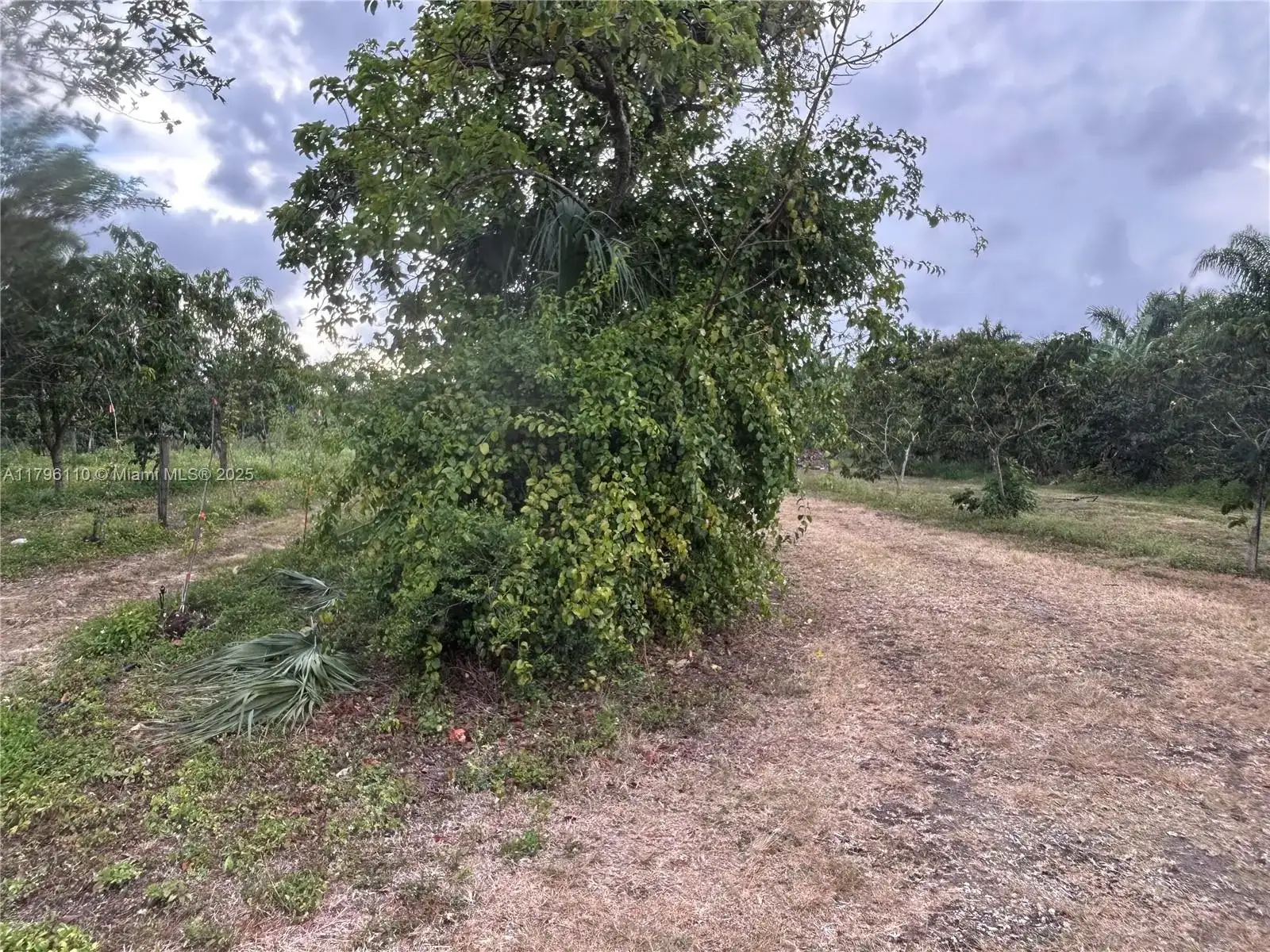 22650 SW 154 Avenue, Unincorporated Dade County FL 33170 photo 2