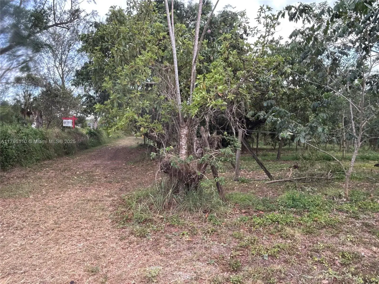 22650 SW 154 Avenue, Unincorporated Dade County FL 33170 photo 3