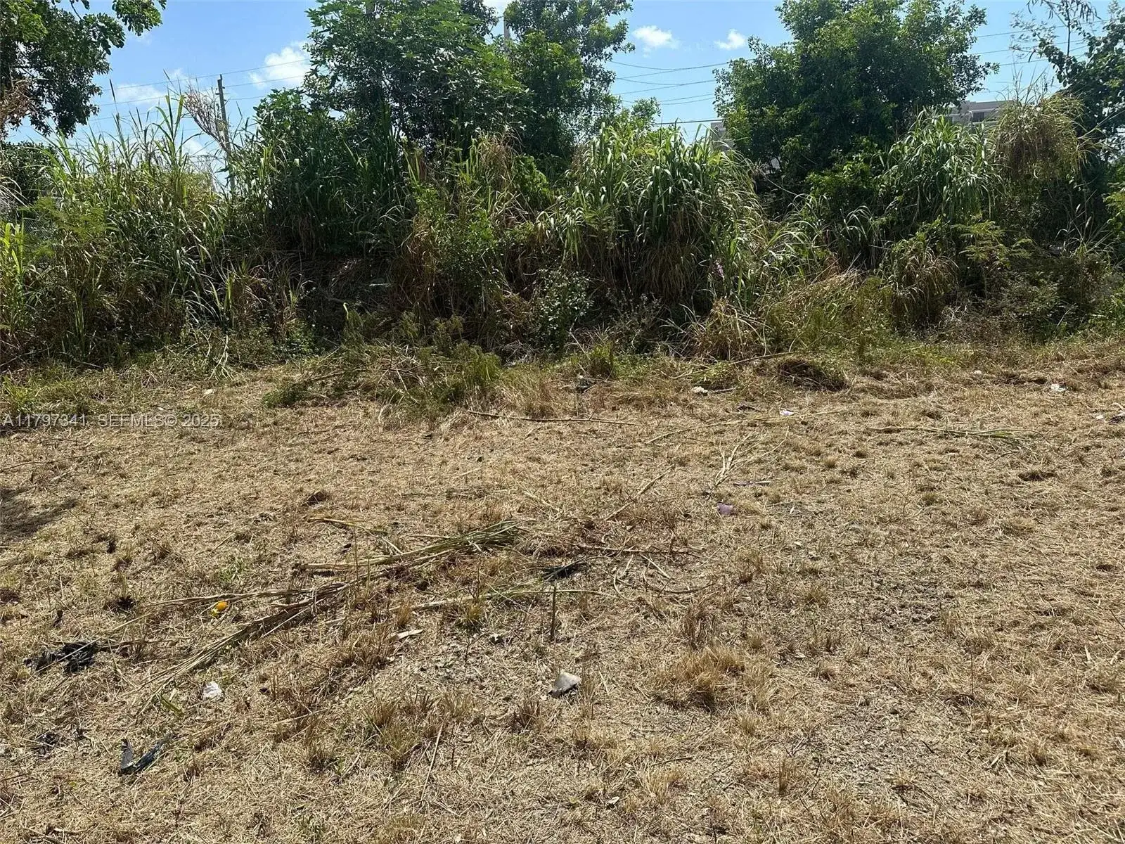 10025 W Indigo, Miami FL 33157 photo 2