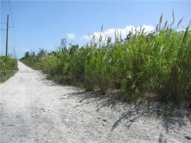 SW 137 Ave. at 360 St., Florida City FL 33035 photo 3