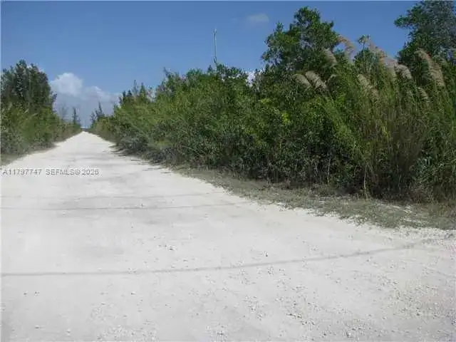SW 137 Ave. at 360 St., Florida City FL 33035 photo 5