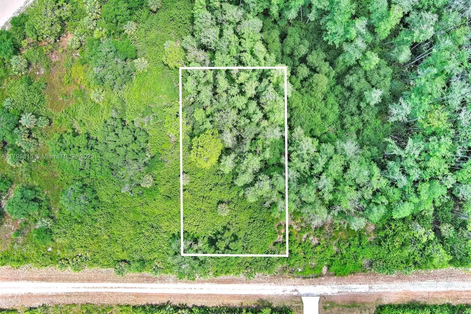 520 Woodman Dr, Lehigh Acres FL 33972 photo 3