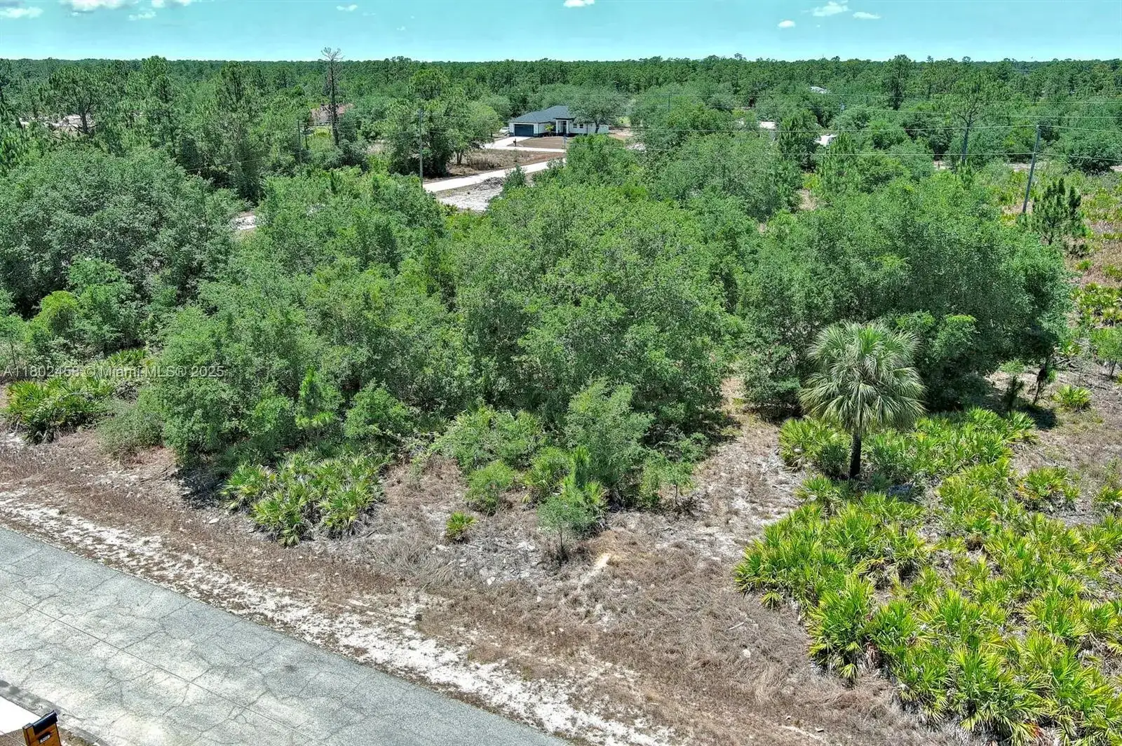 603 FITCH AVE, Lehigh Acres FL 33972 photo 3