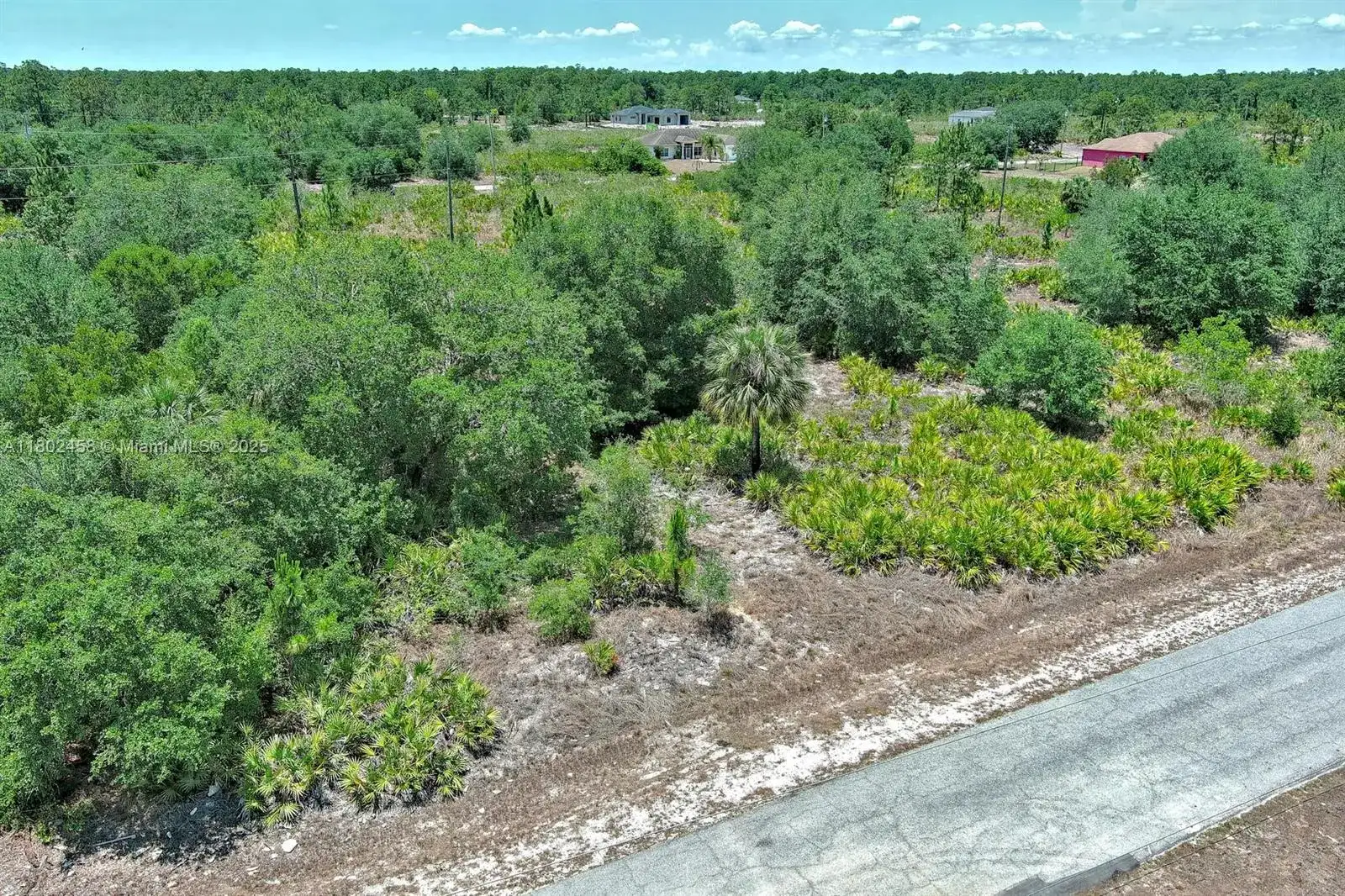 603 FITCH AVE, Lehigh Acres FL 33972 photo 4