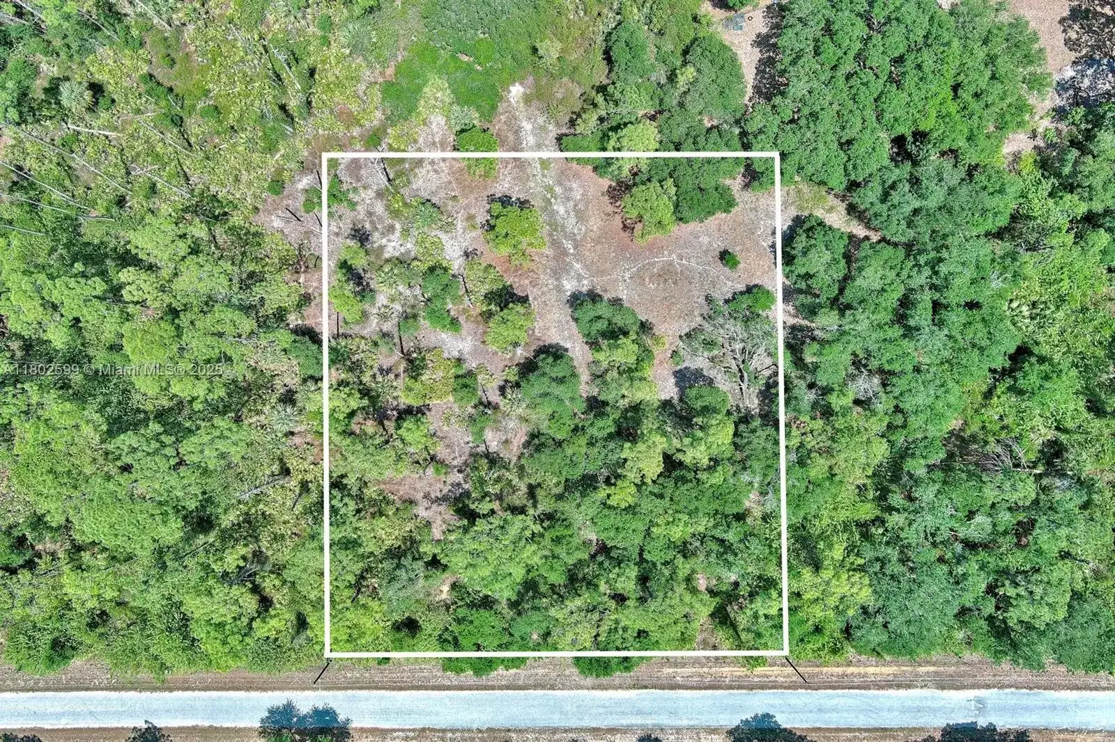1908 MCARTHUR AVE, Lehigh Acres FL 33972 photo 2