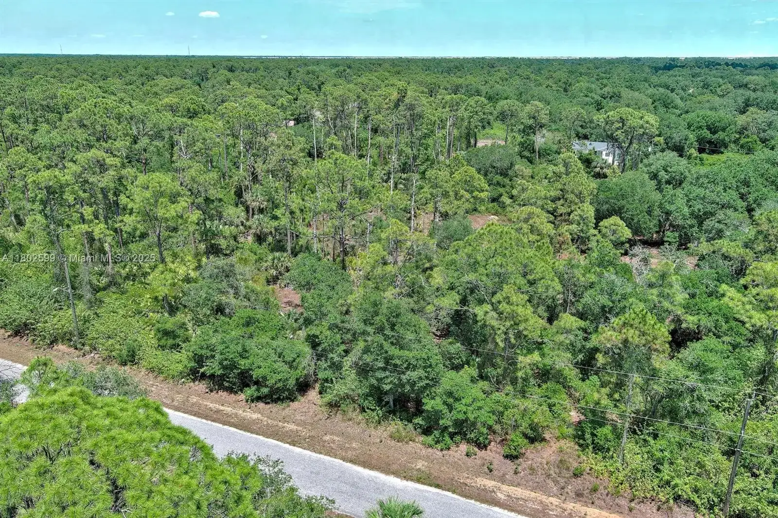 1908 MCARTHUR AVE, Lehigh Acres FL 33972 photo 3
