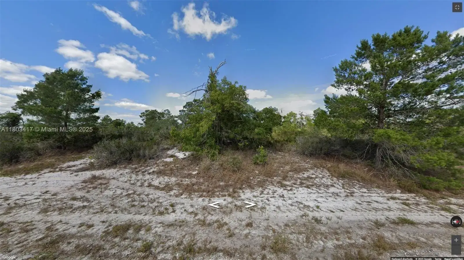 341 NE Galapagos Ave, Lake Placid FL 33852