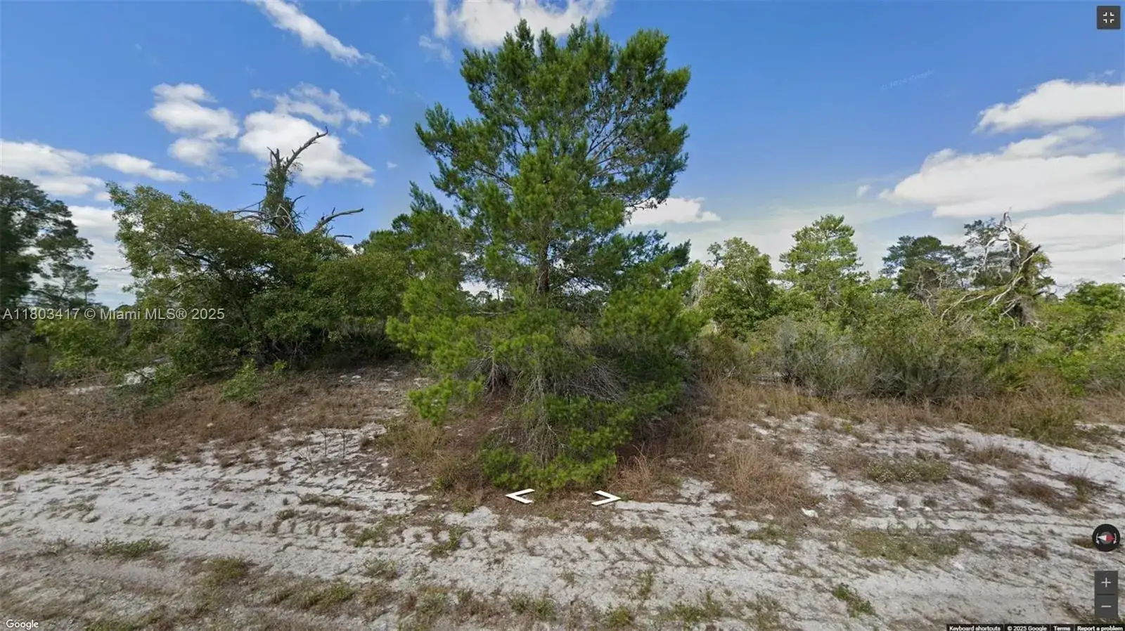 341 NE Galapagos Ave, Lake Placid FL 33852 photo 2