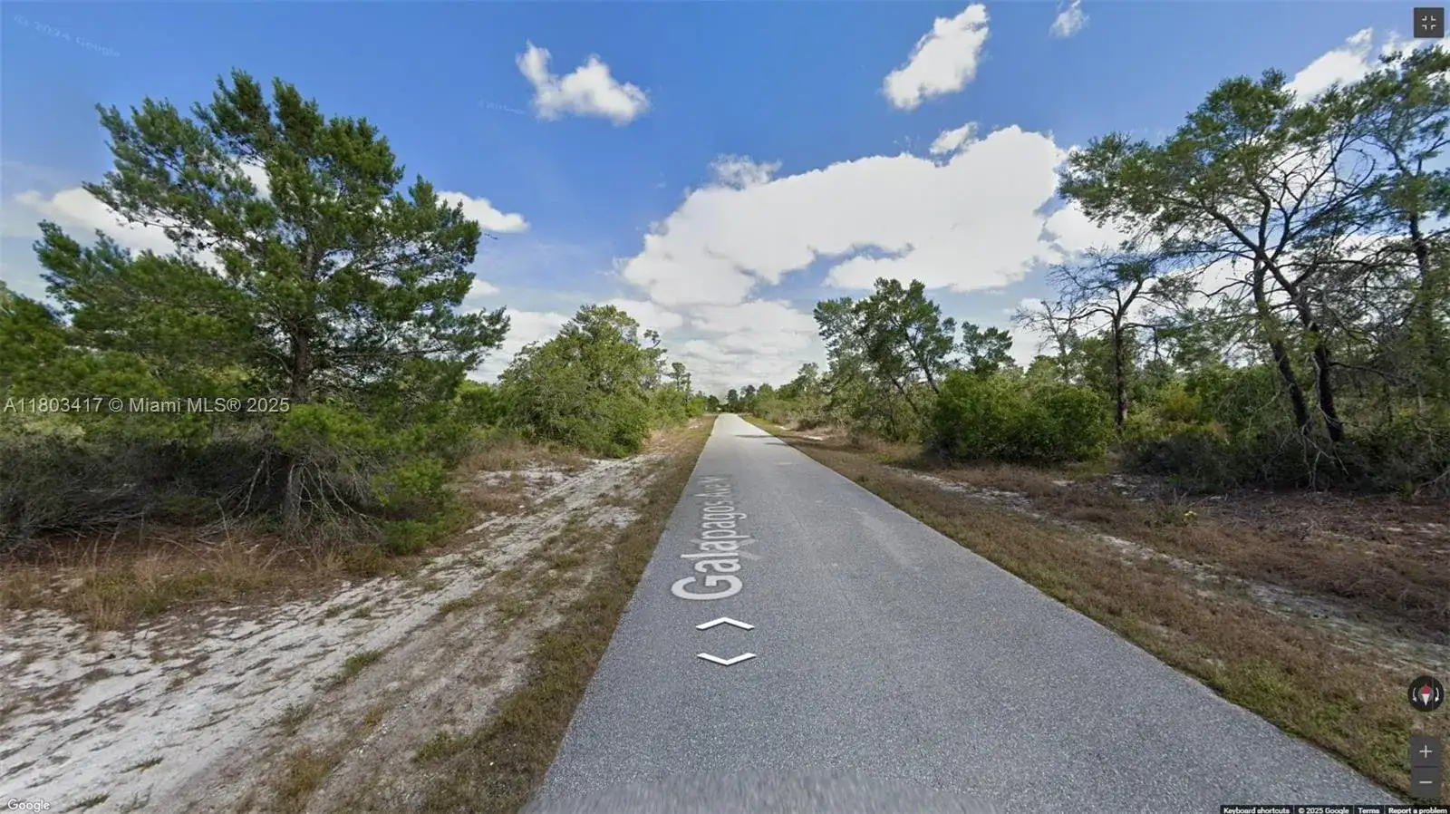 341 NE Galapagos Ave, Lake Placid FL 33852 photo 4
