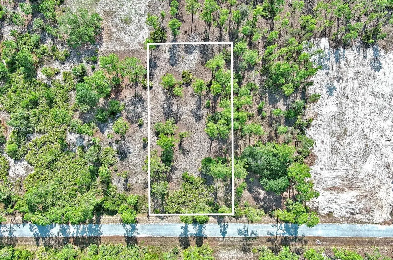 317 Fitch Ave, Lehigh Acres FL 33936