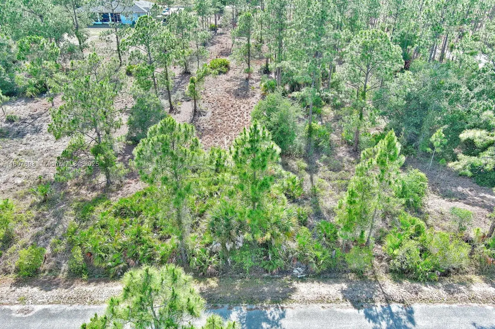 317 Fitch Ave, Lehigh Acres FL 33936