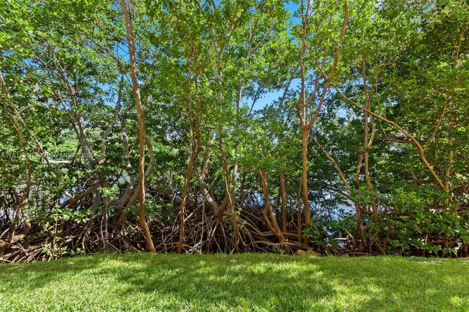 19999 E Country Club Dr # 1106, Aventura FL 33180 photo 2