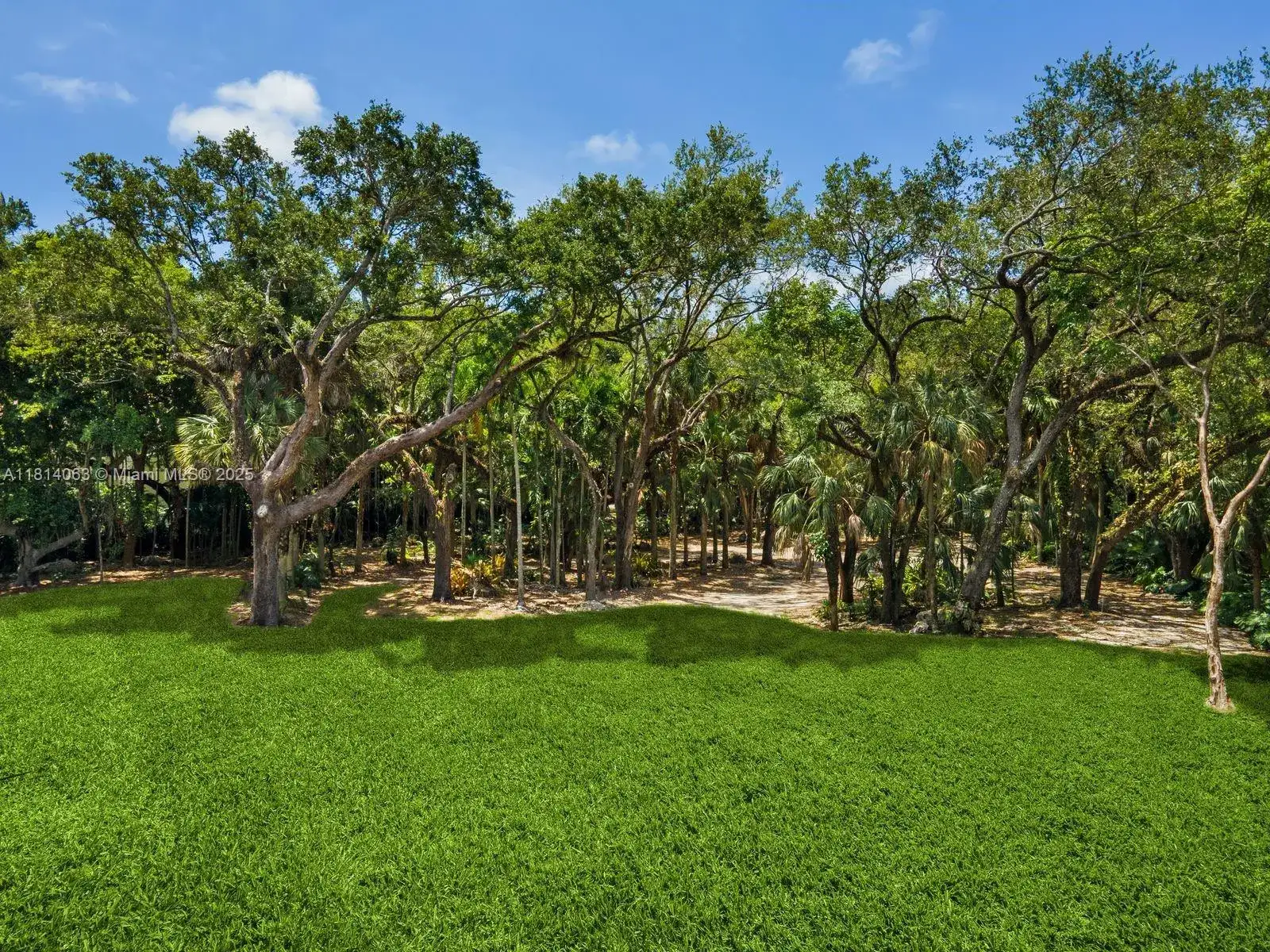 5355 Hammock Dr, Coral Gables FL 33156 photo 4