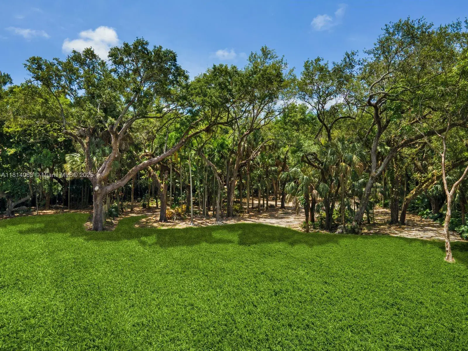 5355 Hammock Dr, Coral Gables FL 33156