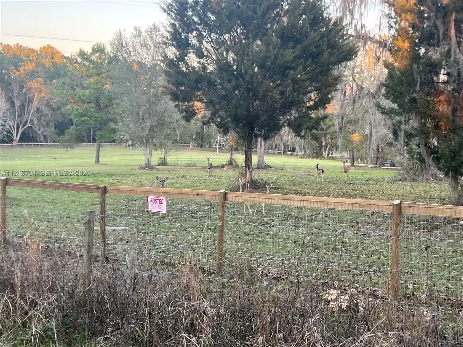 18601 NW 160th, Other City - In The State Of Florida FL 32696 photo 4
