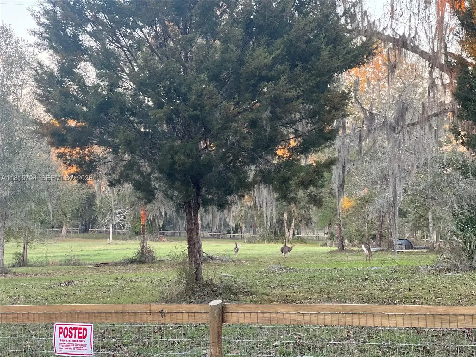 18601 NW 160th, Other City - In The State Of Florida FL 32696 photo 5