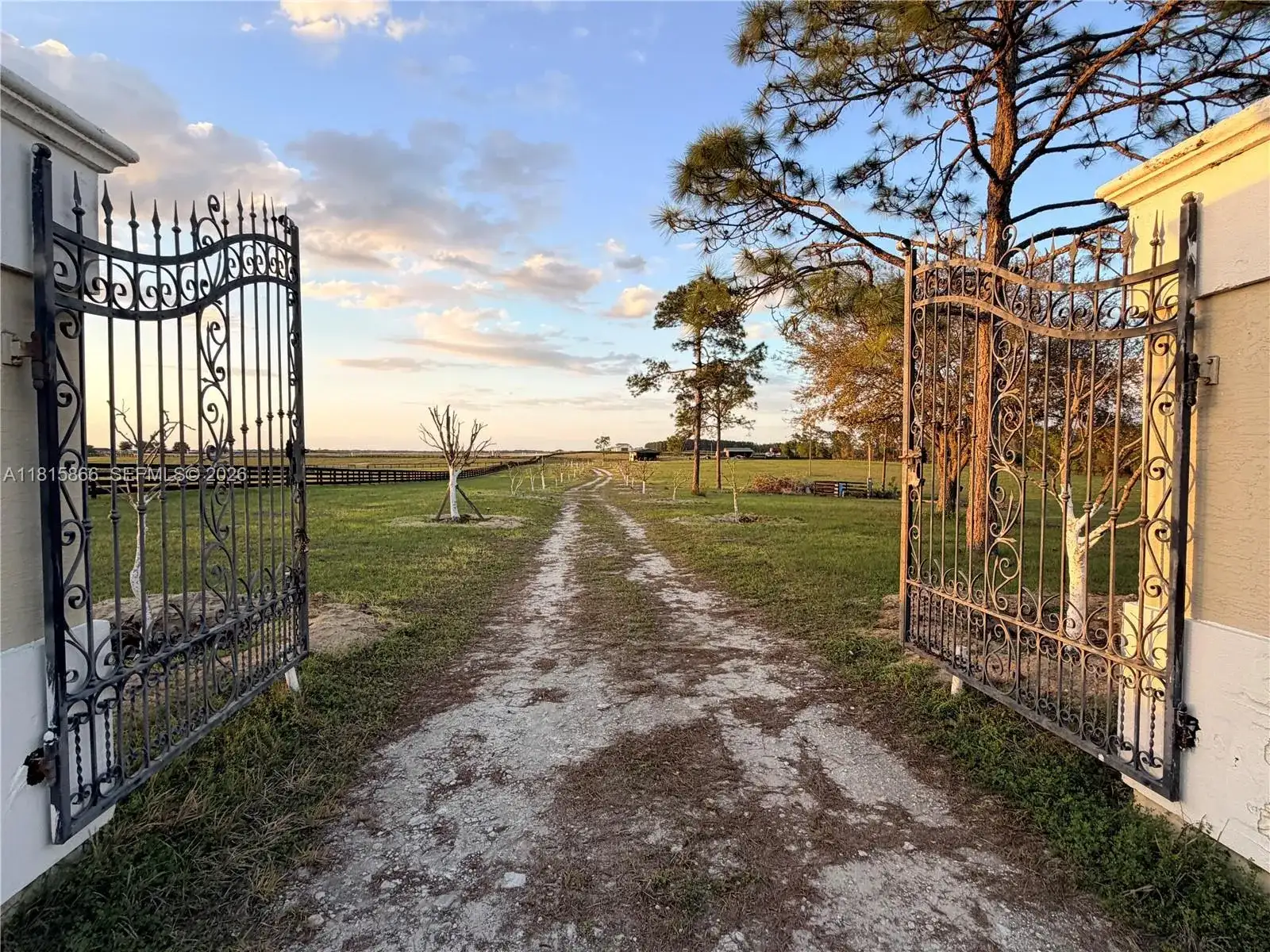 12451 NE 20th St, Other City - In The State Of Florida FL 32696 photo 3