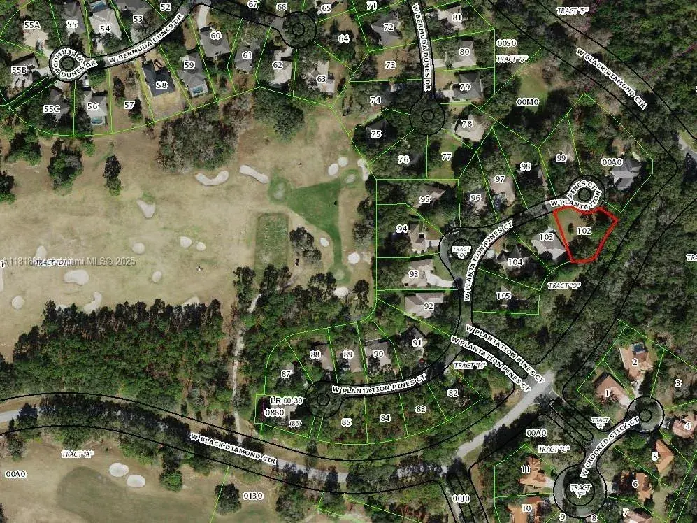2940 W PLANTATION PINES CT, Other City - In The State Of Florida FL 34461