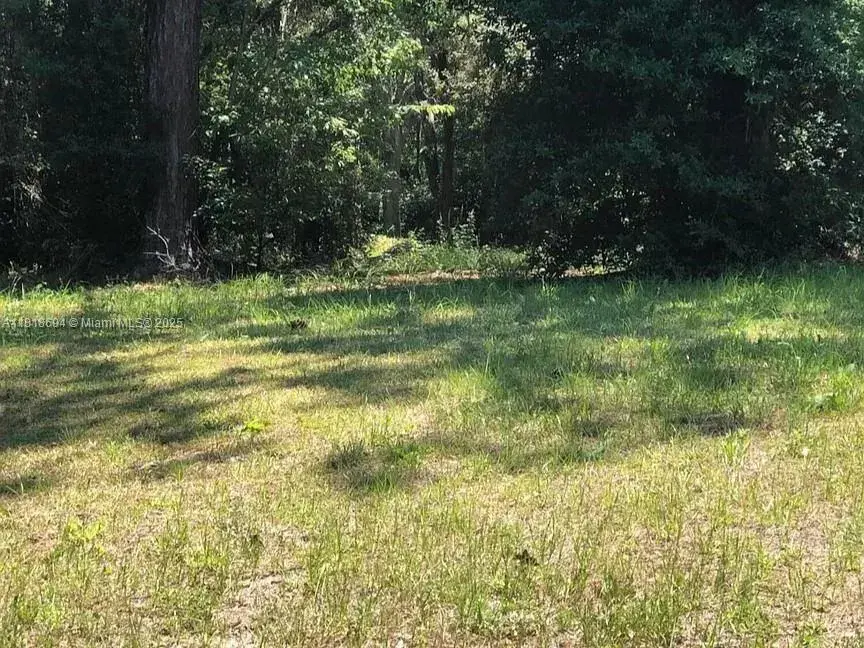 2940 W PLANTATION PINES CT, Other City - In The State Of Florida FL 34461