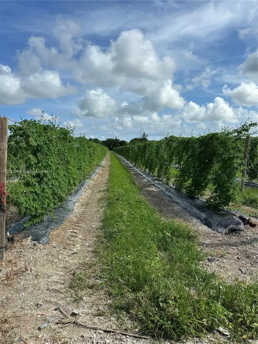 N 280, Homestead FL 33033 photo 2