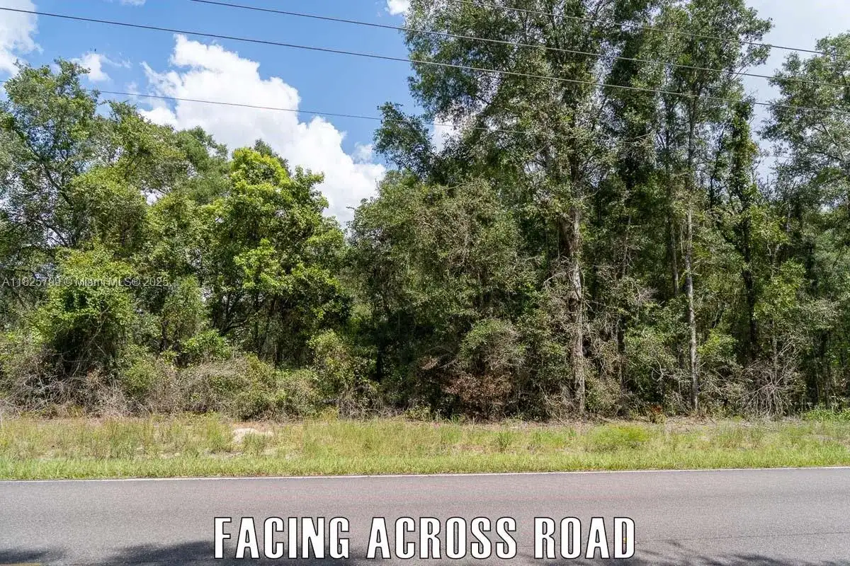 Old Fanning Rd, Other City - In The State Of Florida FL 32693 photo 4